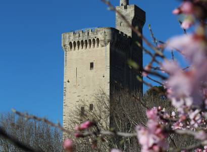 Tour Philippe-le-Bel
