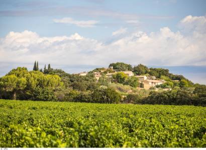 9 - Le vignoble de Plan de Dieu entre Aygues et Ouvèze