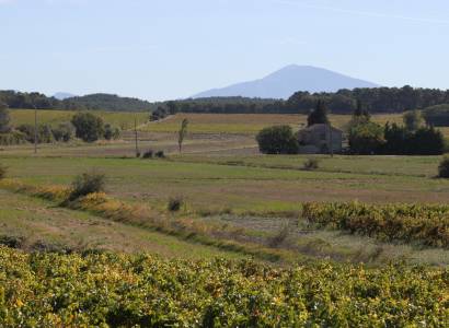 8 - Tour du Massif d'Uchaux à vélo