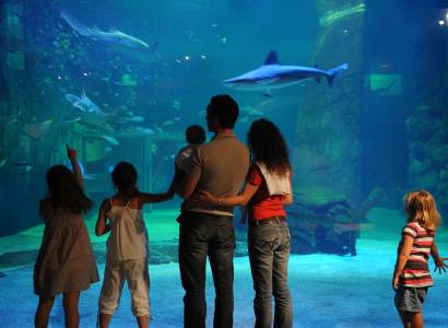 Seaquarium Institut Marin