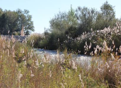 Pêche en Durance