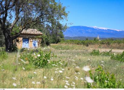 19 - Les Terrasses du Ventoux