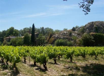 De la Venise Provençale aux vignobles de Châteauneuf du Pape