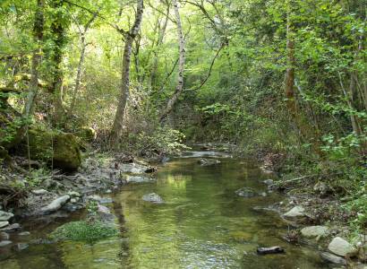 Vallon de l’Aiguebrun