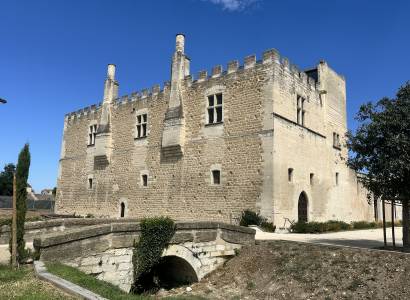 Château de Fargues