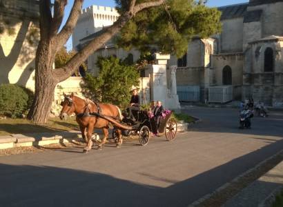 Avignon Calèches