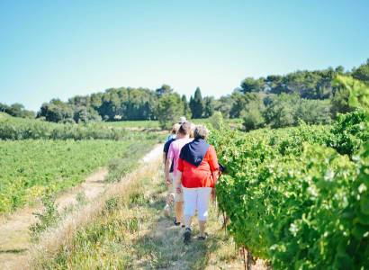 Circuit Oenotouristique du Clos de Caveau
