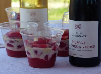 Découverte et dégustation au Vignoble Alain Ignace