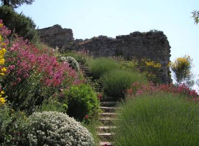 Sentier archéologique et botanique