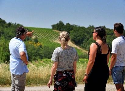 Balade vigneronne à la cave des Vignerons du Mont Ventoux