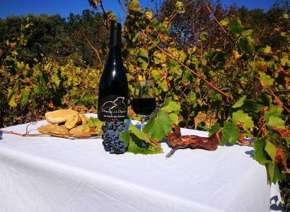 Domaine de la Deydière