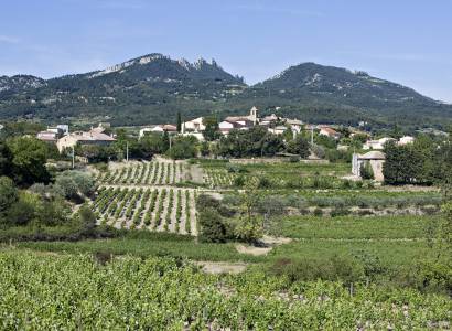 Marché provençal