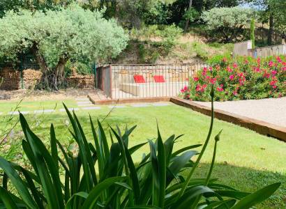 Le Clos des Oliviers : Marguerite