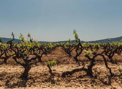 Domaine des Pentelines