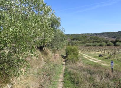 Circuit de Randonnée à Pernes les Fontaines - 10 km - n°2