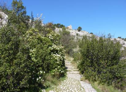 Voie romaine et Colline Saint Jacques