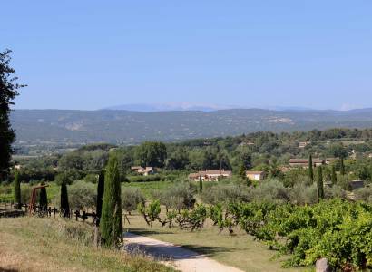Sentier vigneron d'Oppède-Le Vieux