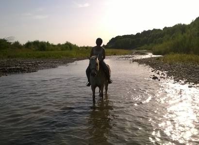 Balades à cheval et poney avec l'Elevage du Faci