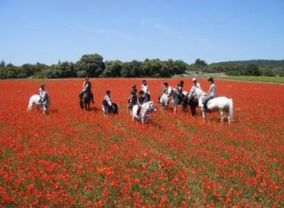 Haras de Lagnes