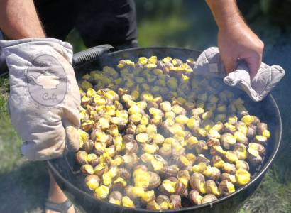 L'escargot des Valanques