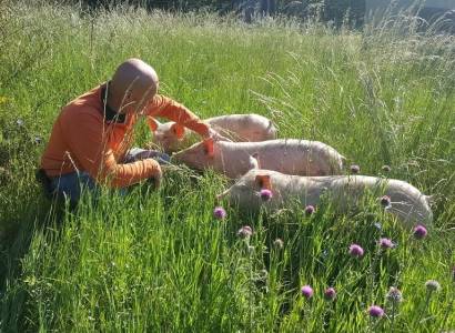 Une ferme en Ventoux