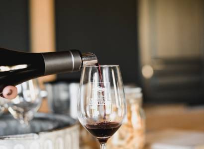Dégustation au Domaine Vindemio