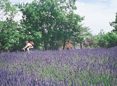 Grande Traversée du Luberon