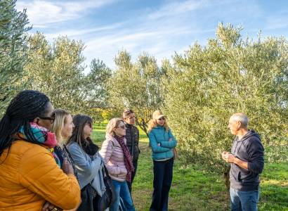 Dégustation d'huile d'olive à la boutique "Les 3 Souquets"