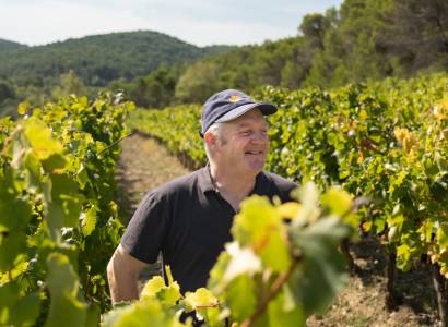 Vins Laurent Bellion