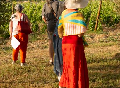 Balade « Le ventoux à plat » au cœur du vignoble Domaine de Mas Caron