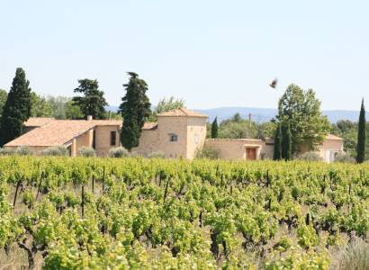 Accords mets & vins régionaux au Domaine de Mas Caron