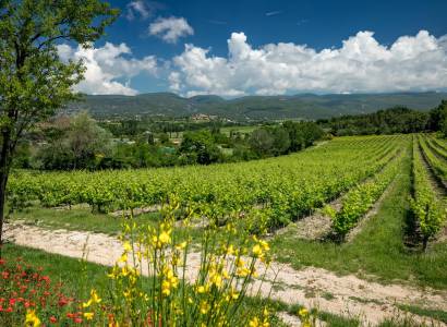 Château Saint Pons - Sentier vigneron