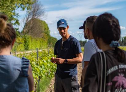 Visite de cave au Domaine de Chantegut
