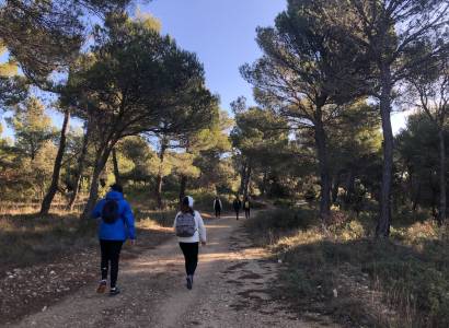 Randonnée Isle sur la Sorgue par Terra Rando