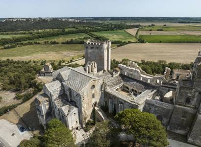 Abbaye de Montmajour