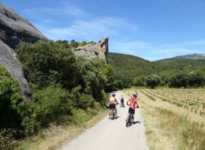 Beaumes-de-Venise son vignoble et ses terroirs : Balade accompagnée à vélo