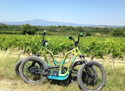 Pernes à trottinette électrique