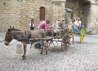 Balades en calèche avec des ânes attelés