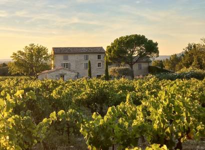 Domaine du Chat Blanc