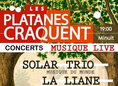 Concerts "Les platanes craquent"