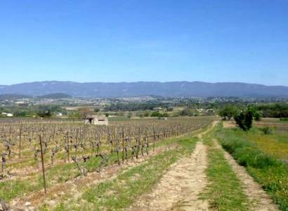 VTT n°28 - Escapade dans les vignes