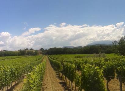 Domaine Terre de Gaulhem