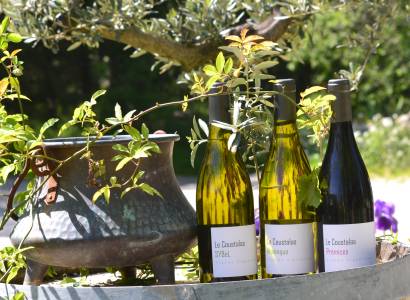 Domaine le Coustalas