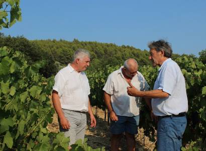 Domaine les Touchines - Château la Giride