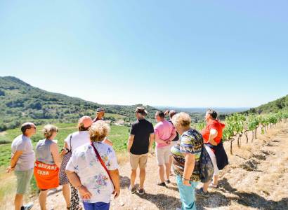 Visite guidée du Clos de Caveau
