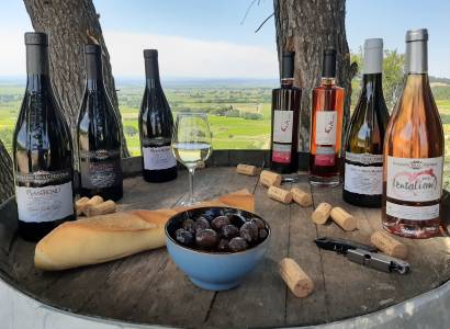 Visite du vignoble et de la cave - Domaine Beau Mistral