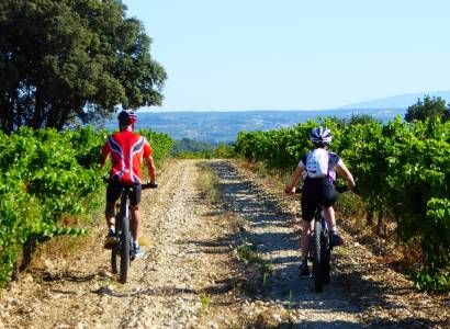Bédoin et les contreforts du Ventoux : Balade accompagnée à vélo