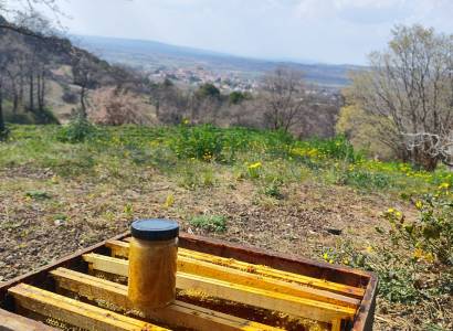 Visite du Château Cohola et approche de la polyculture