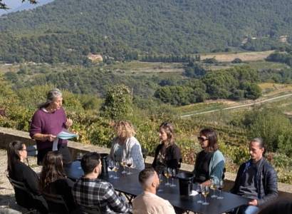 Dégustation de vin sous hypnose au Domaine La Ferme Saint-Martin