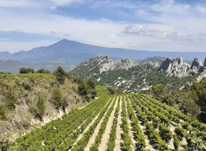 Visite LaCave et dégustation des crus des Dentelles